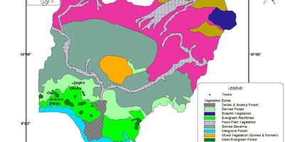 Harta e nigeri treguar vegjetacionit