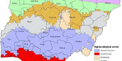 Vizatoni hartën e nigeri treguar vegjetacionit zonat